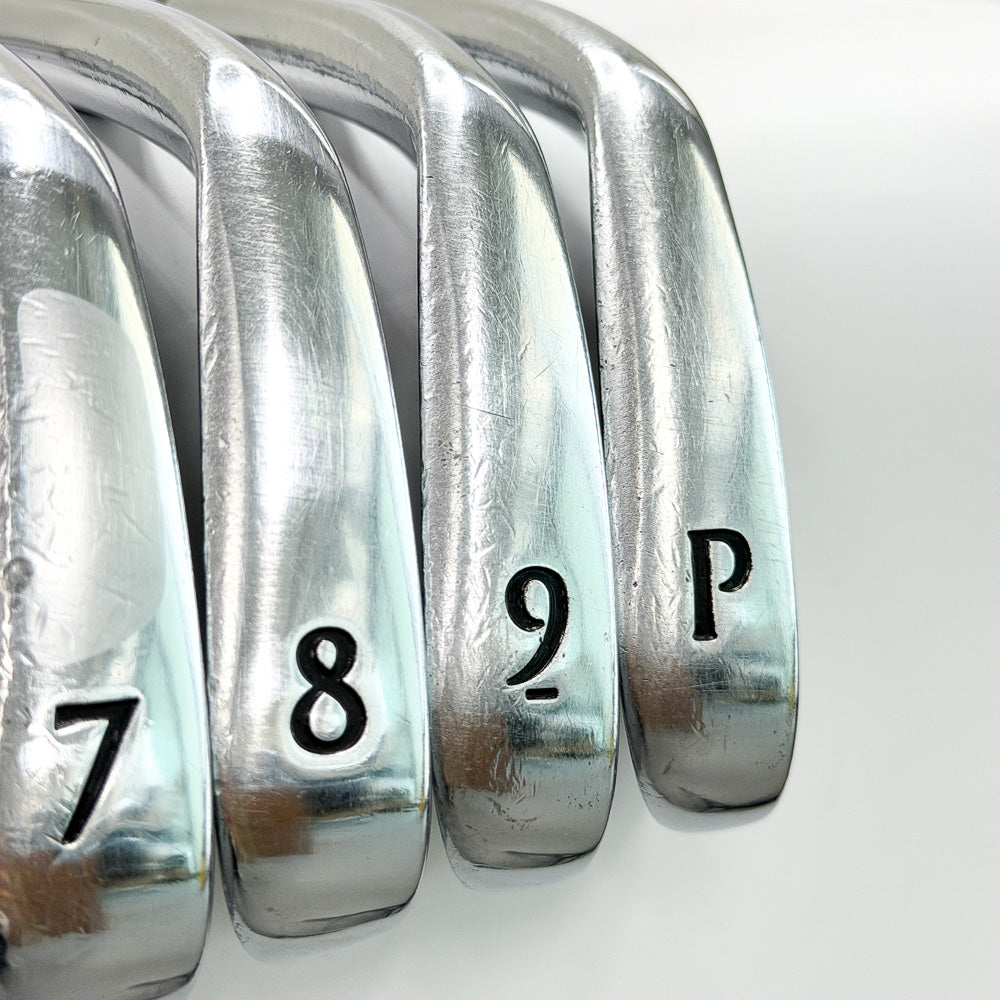 타이틀리스트 VG3 DG S200