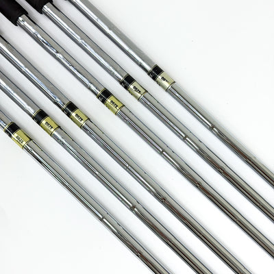 타이틀리스트 VG3 DG S200